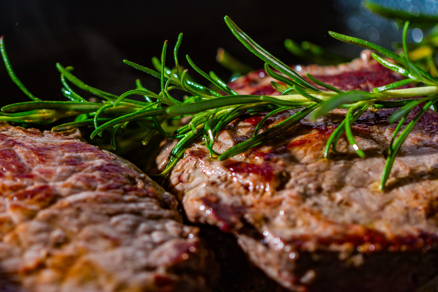 Read more about the article Real Benefits of the Carnivore Diet: What Science and Users Say