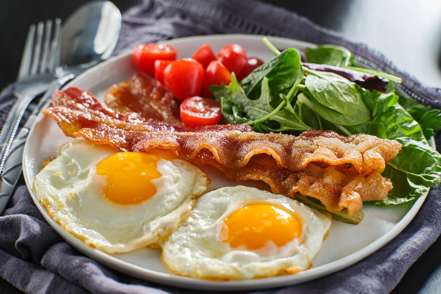 You are currently viewing Carnivore vs. Keto: Which Low-Carb Diet Is Right for You?